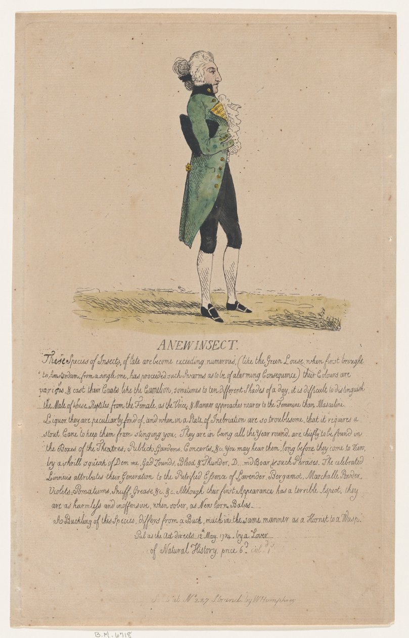 A New Insect, May 12, 1784., May 12, 1784. 作者 托马斯·罗兰森