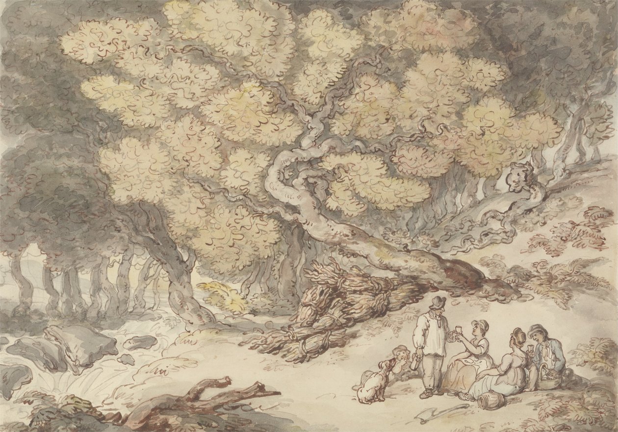 Wood夫的野餐（钢笔和墨水，纸上石墨上有水彩画） 作者 托马斯·罗兰森
