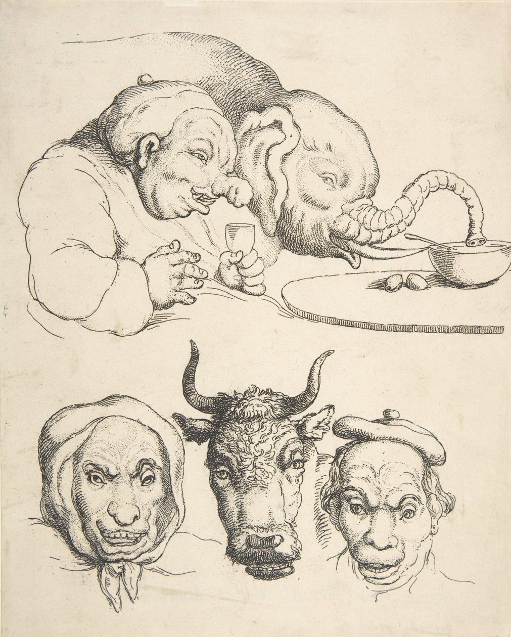 比较解剖学，1800-25.，1800-25.。 作者 托马斯·罗兰森