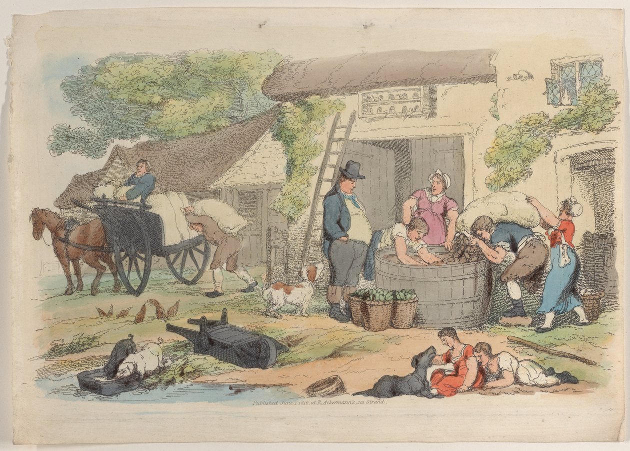 板块16，来自《微型世界》，1816年，1816年。 作者 托马斯·罗兰森