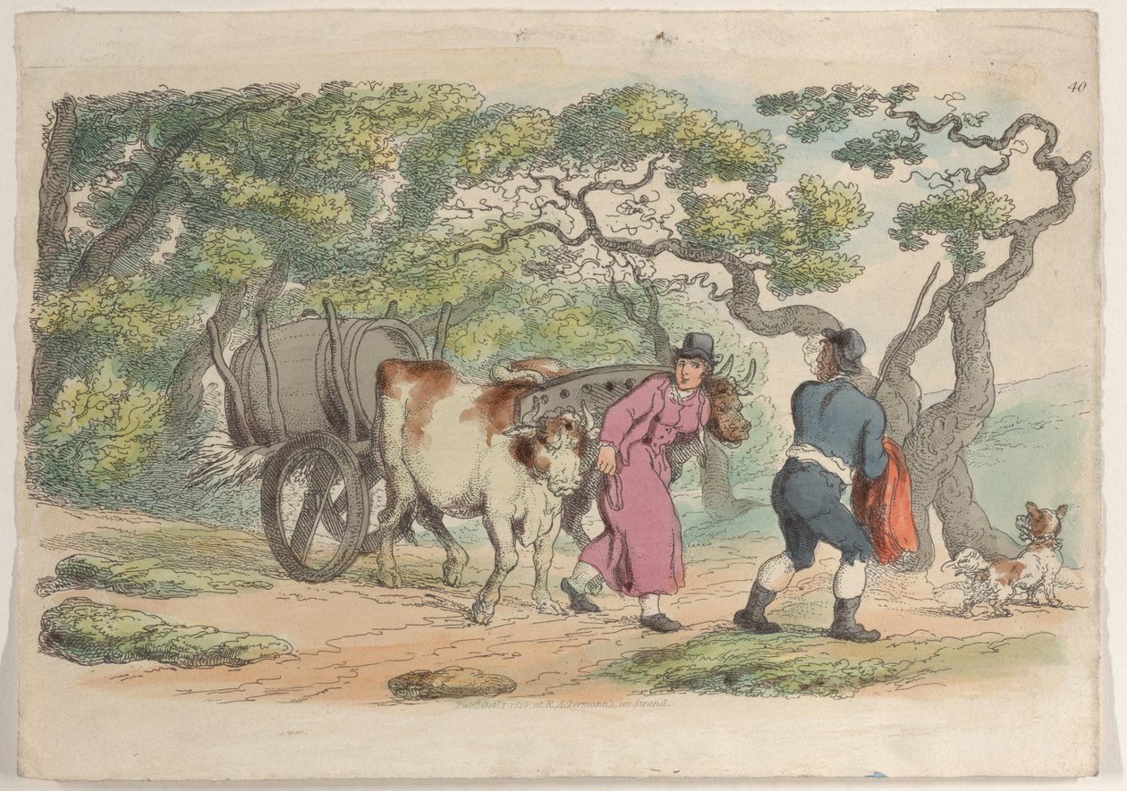 图版40，摘自《微型世界》，1816年，1816年。 作者 托马斯·罗兰森