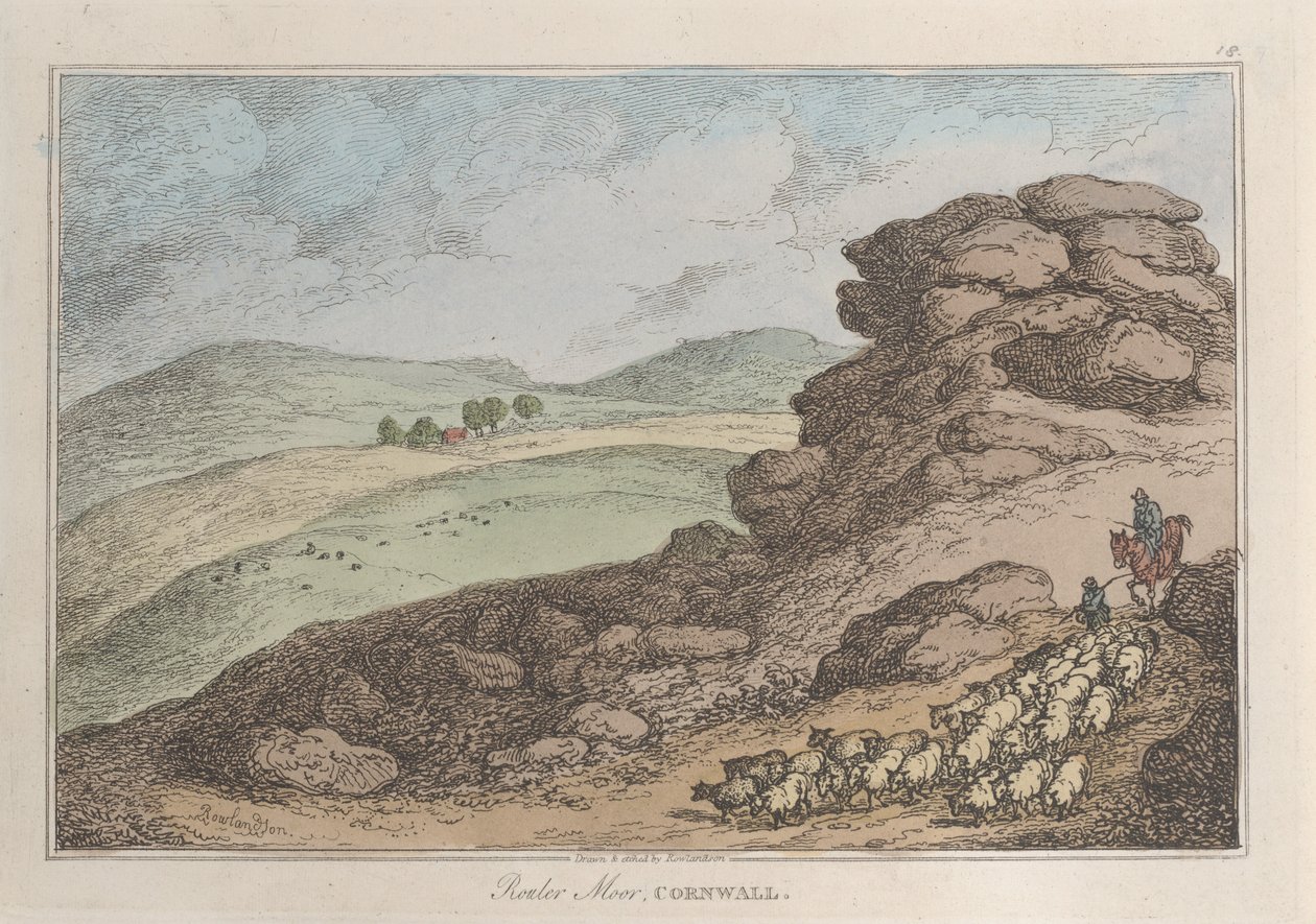 康沃尔郡Rouler Moor，摘自《自然素描》，1822年，1822年。 作者 托马斯·罗兰森