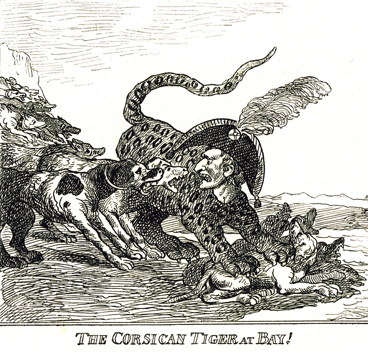 The Barked Corsican Tiger (Napoleon Bonaparte), caricature 1808 作者 托马斯·罗兰森