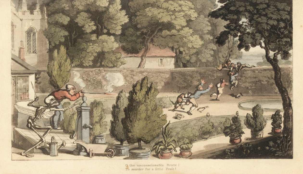 死亡骷髅帮助地主用步枪瞄准在花园里偷猎试图翻墙的男孩。 由 Thomas Rowlandson 绘制和雕刻的手绘铜版，来自伦敦阿克曼的英国死亡之舞 作者 托马斯·罗兰森