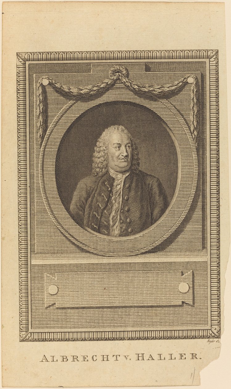 Albrecht V. Haller 作者 托马斯·莱德