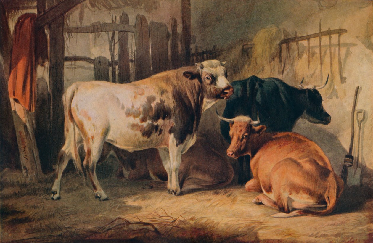 公牛和三头牛在马able里，c1856 作者 托马斯·西德尼·库珀