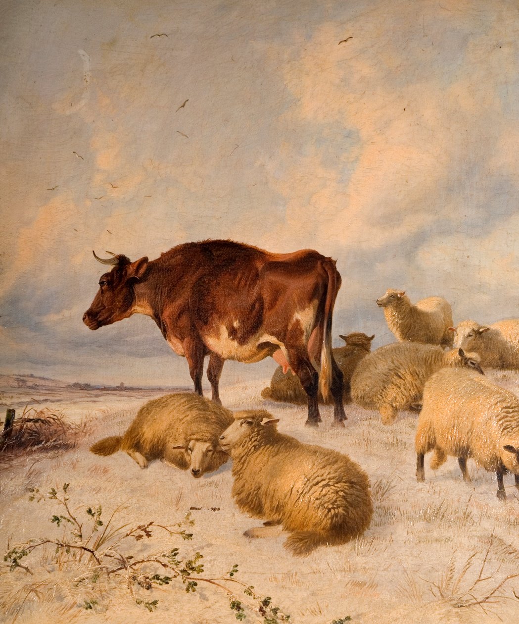 奶牛和绵羊在雪景，1864年 作者 托马斯·西德尼·库珀