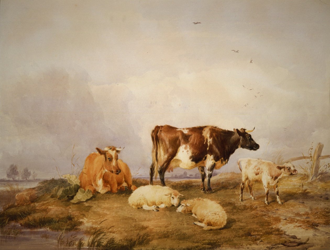景观和牛》，约1823-1902年 作者 托马斯·西德尼·库珀