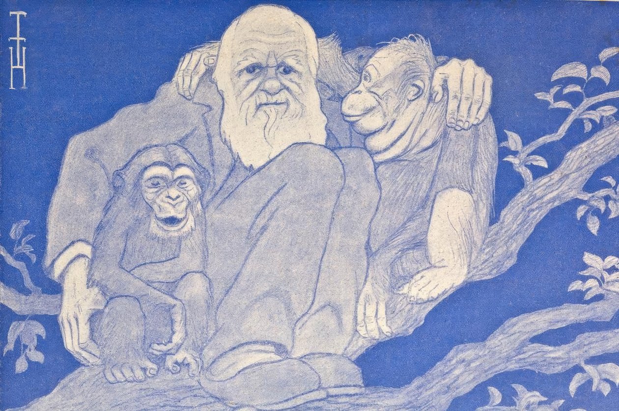 1909年卡通达尔文与猴子的细节 作者 托马斯·西奥多·海涅