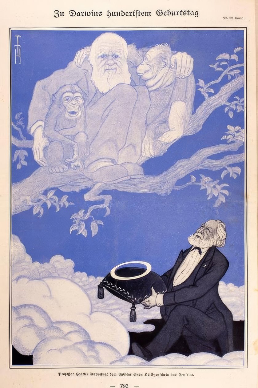 1909年漫画达尔文，猴子，海克尔 作者 托马斯·西奥多·海涅