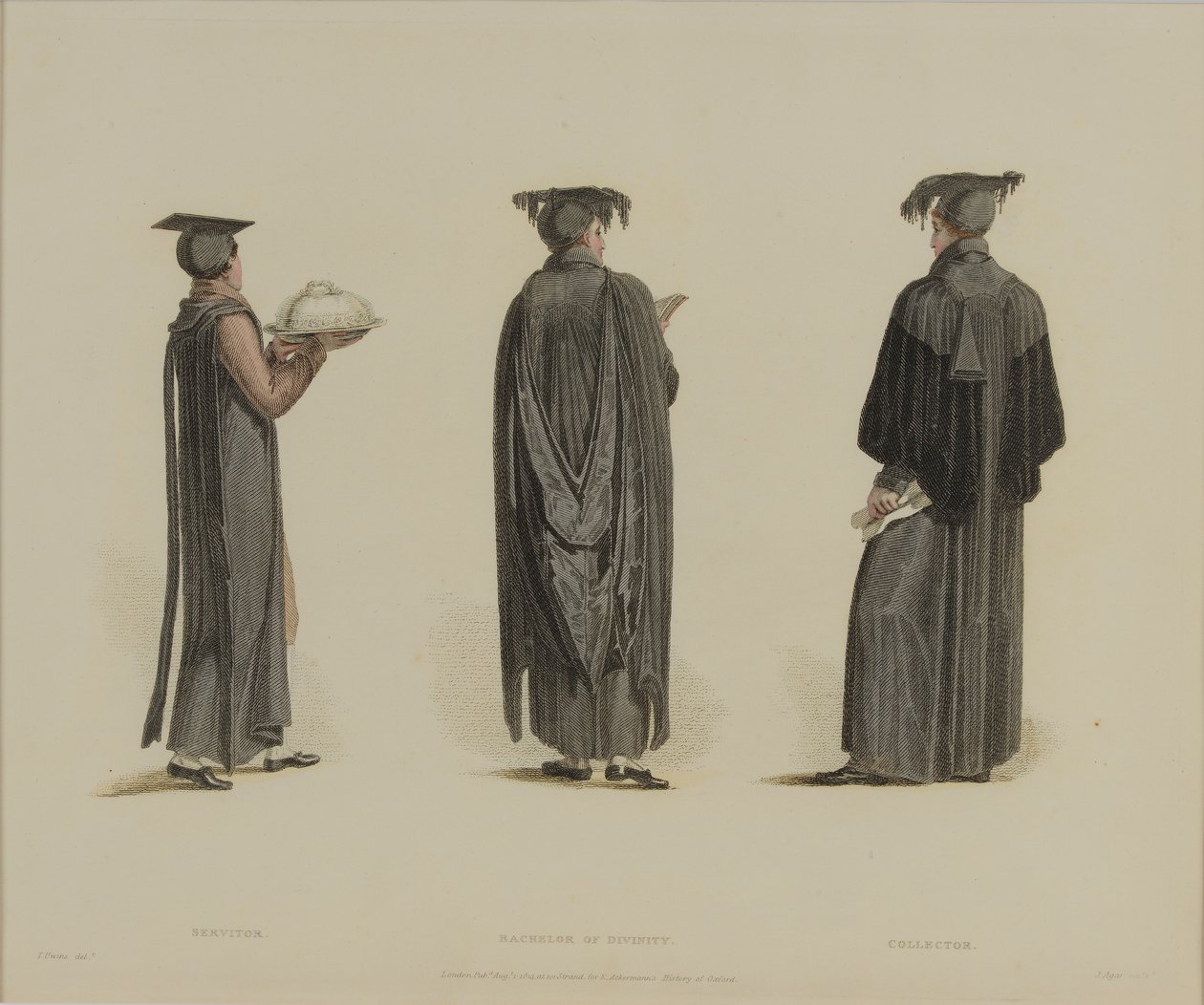 服务员，神学学士，收藏家，由J. Agar雕刻，出版于R. Ackermann的“牛津历史”，1814年（手工彩色雕刻） 作者 托马斯·尤文斯