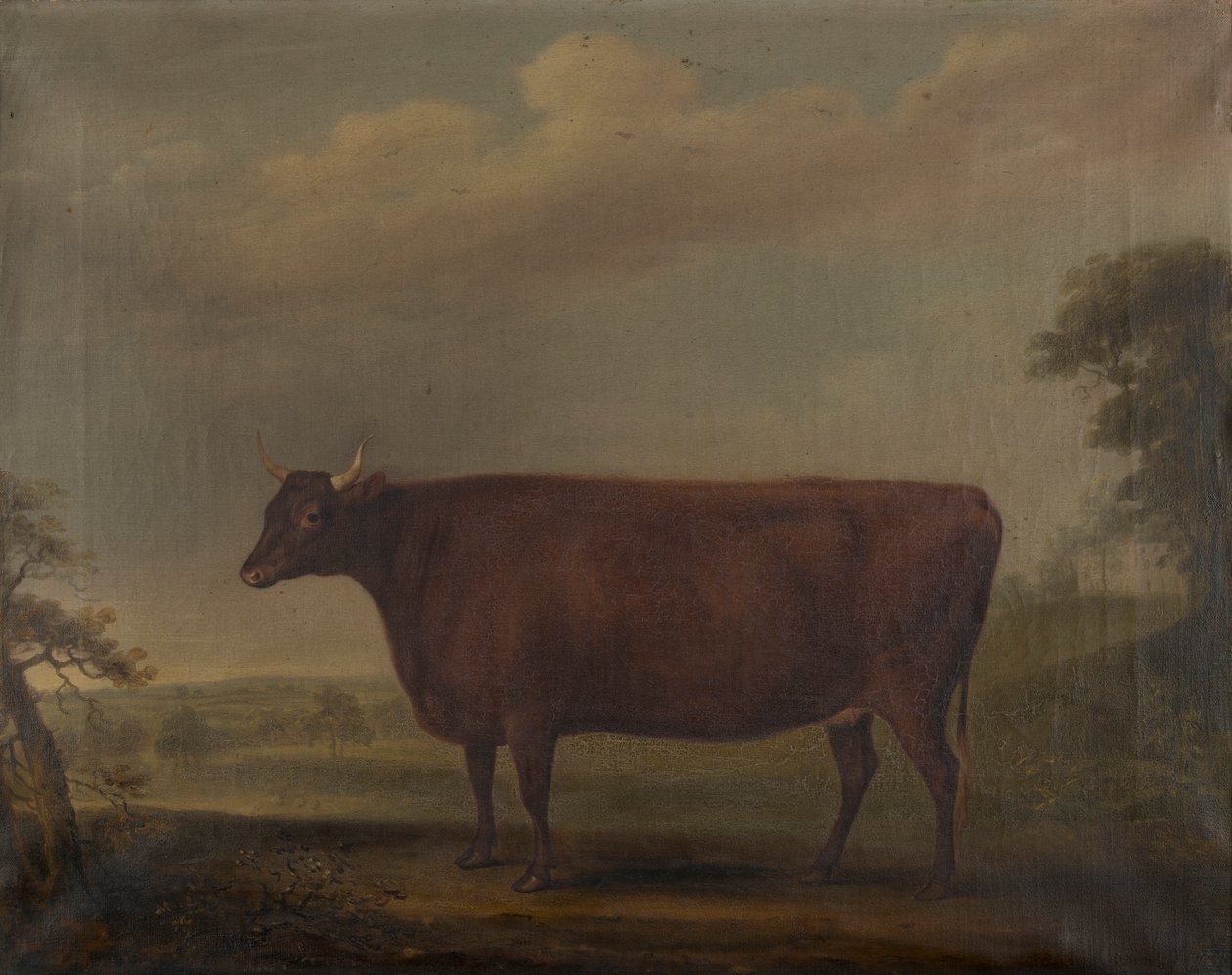 风景中的红色德文郡小母牛，约 1812 年（布面油画） 作者 托马斯·韦弗