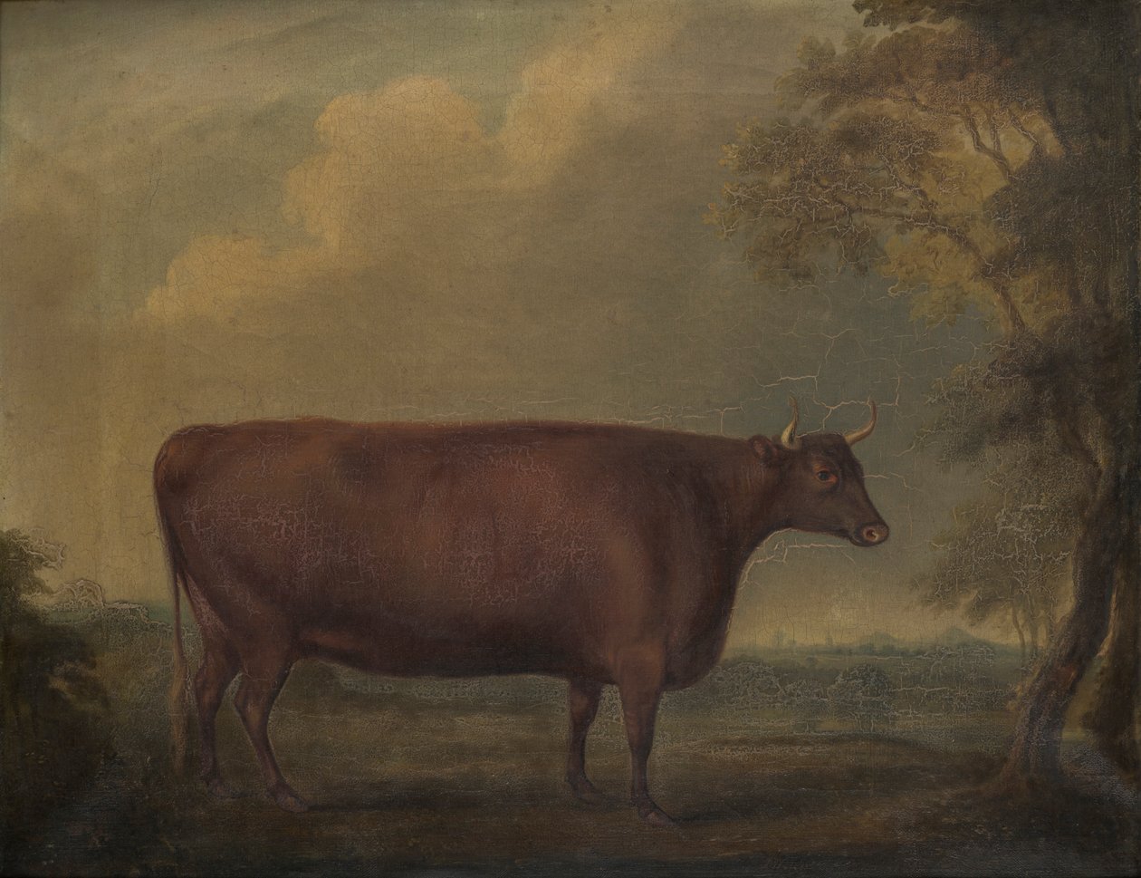 风景中的红色德文郡小母牛，约 1812 年（布面油画） 作者 托马斯·韦弗
