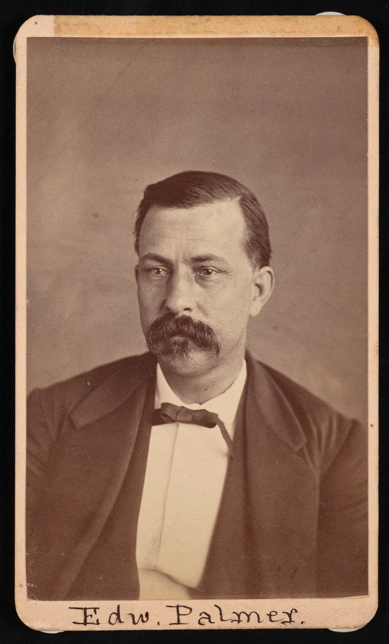 爱德华-帕尔默的肖像，1829-1911年，1900年以前。 作者 托马斯·威廉·斯米利