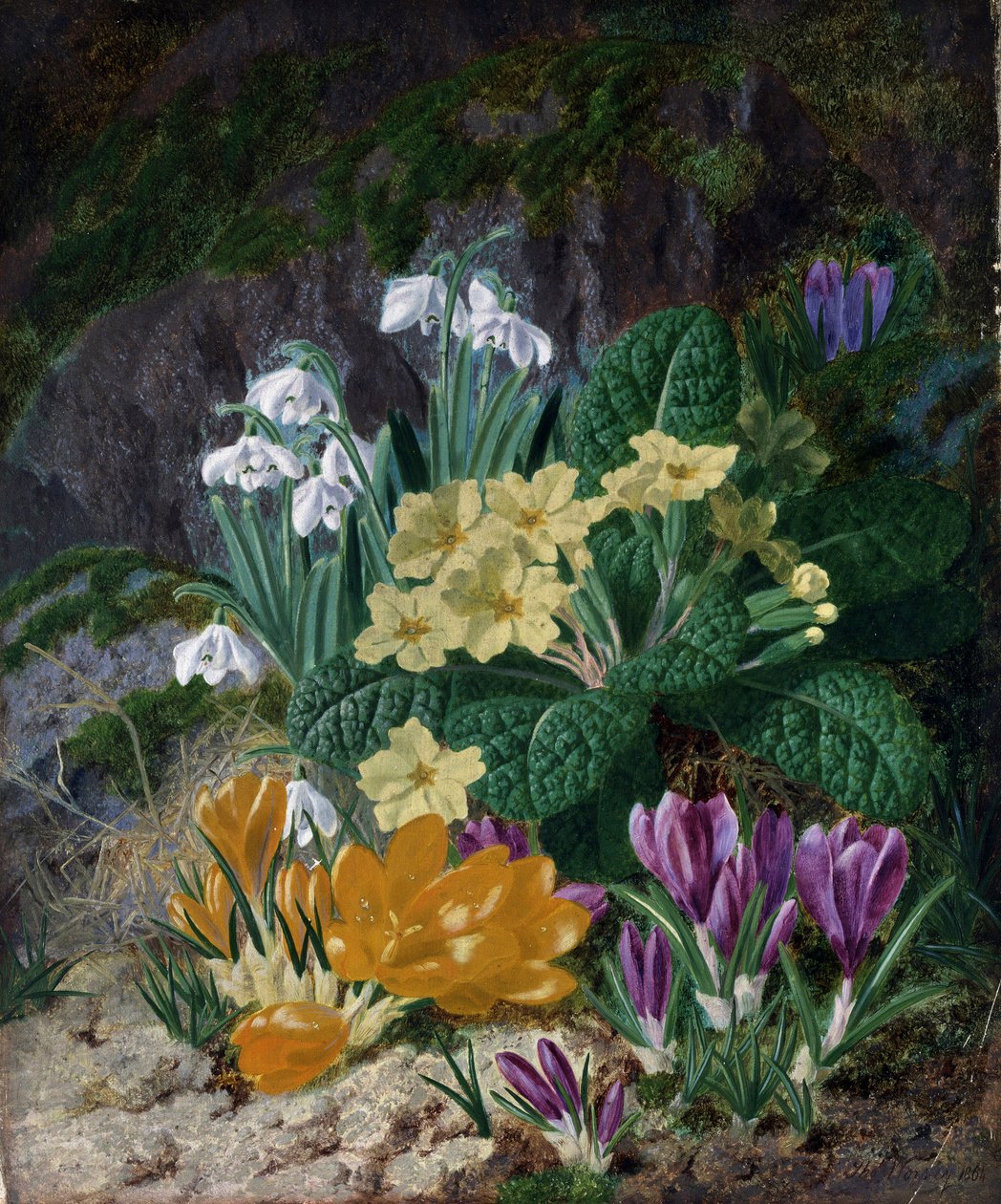 春花（包括番红花和报春花）。托马斯-沃西（1829-1875 年）的画作，私人收藏。 作者 托马斯·沃西