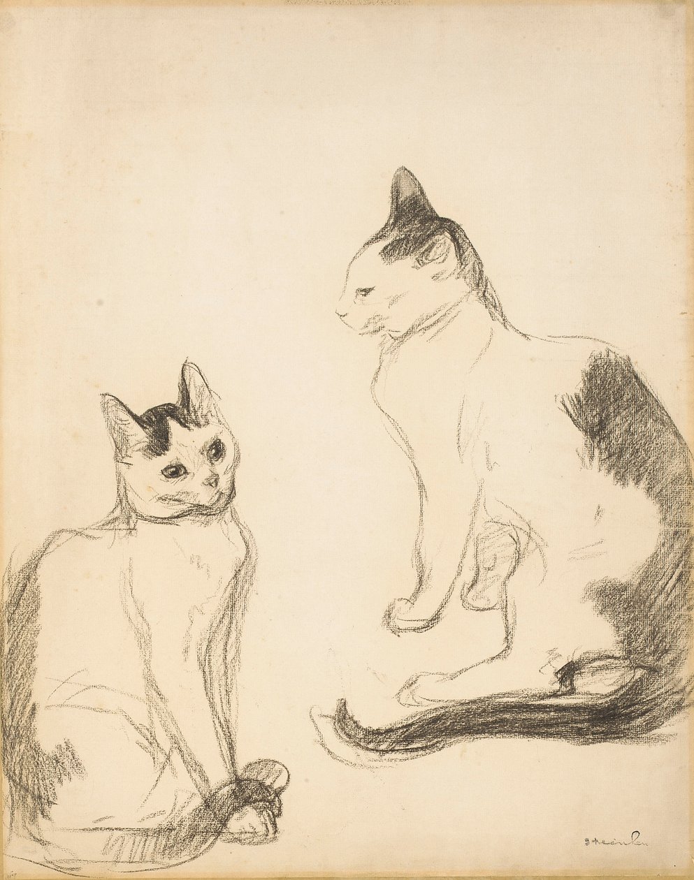 两只猫；两只猫 作者 西奥菲勒·亚历山大·斯坦伦