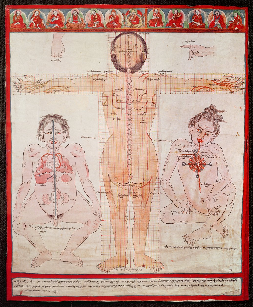 解剖图表，1938年（布上画布上的钢笔和水彩画） 作者 藏族学校