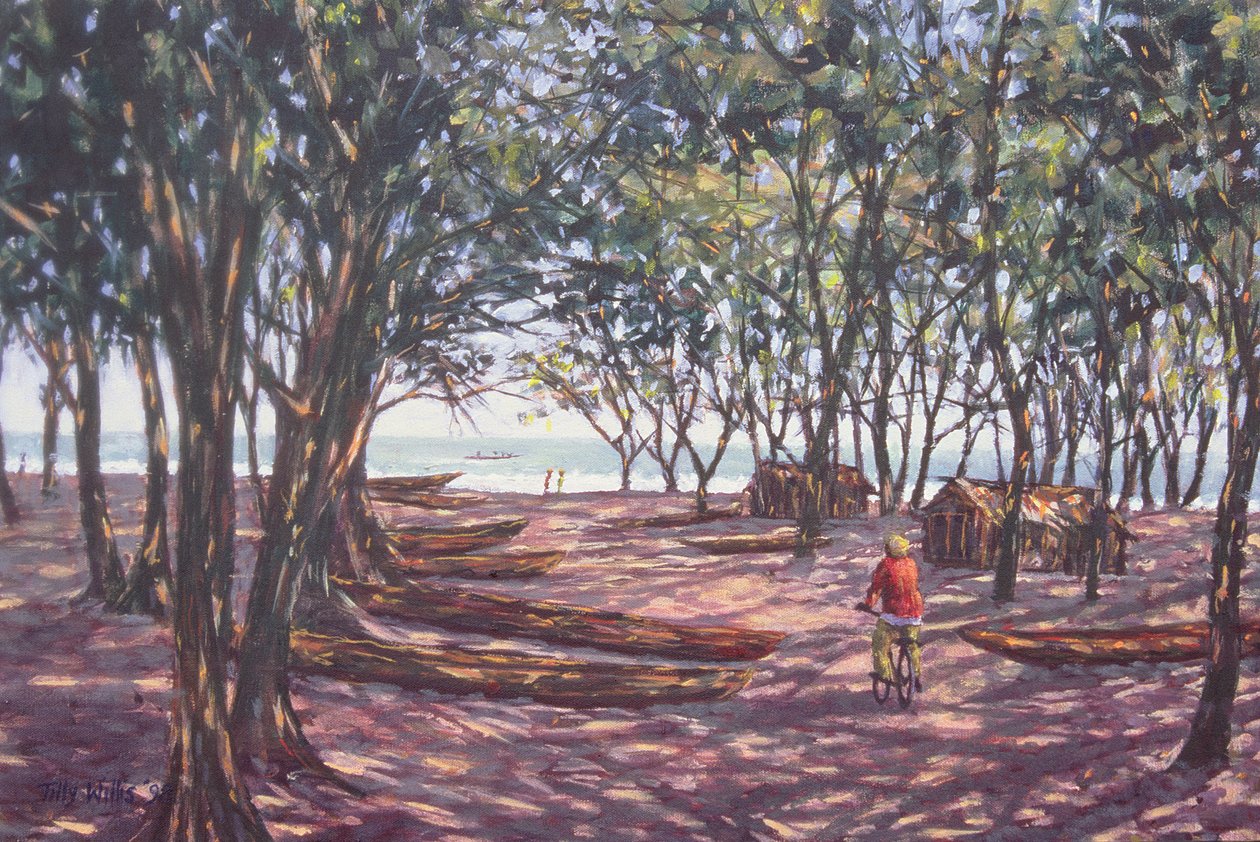 船坞，Kafountine，1998 作者 蒂莉·威利斯