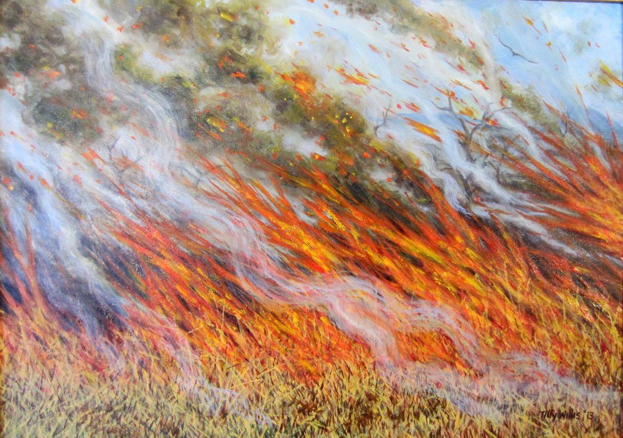 Bushfire Inferno，2014， 作者 蒂莉·威利斯