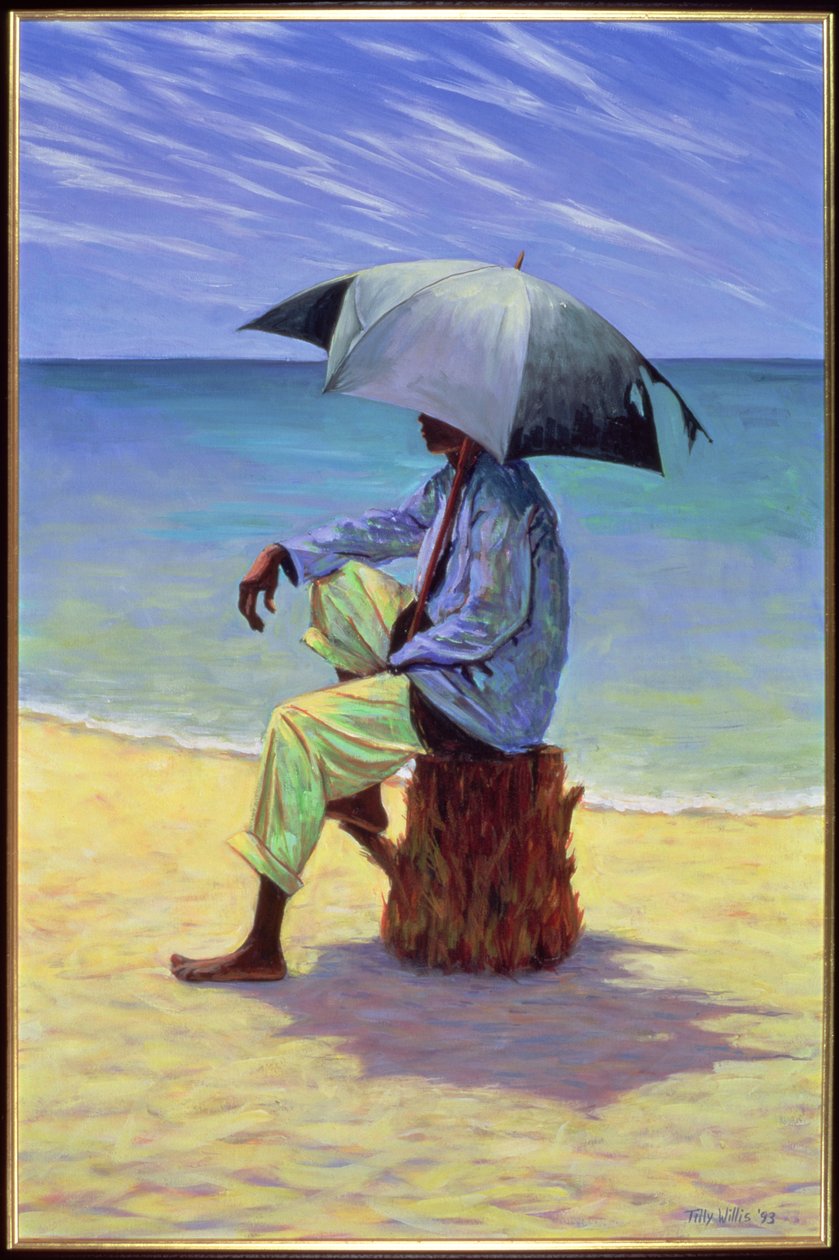 进入蓝色，1993年 作者 蒂莉·威利斯