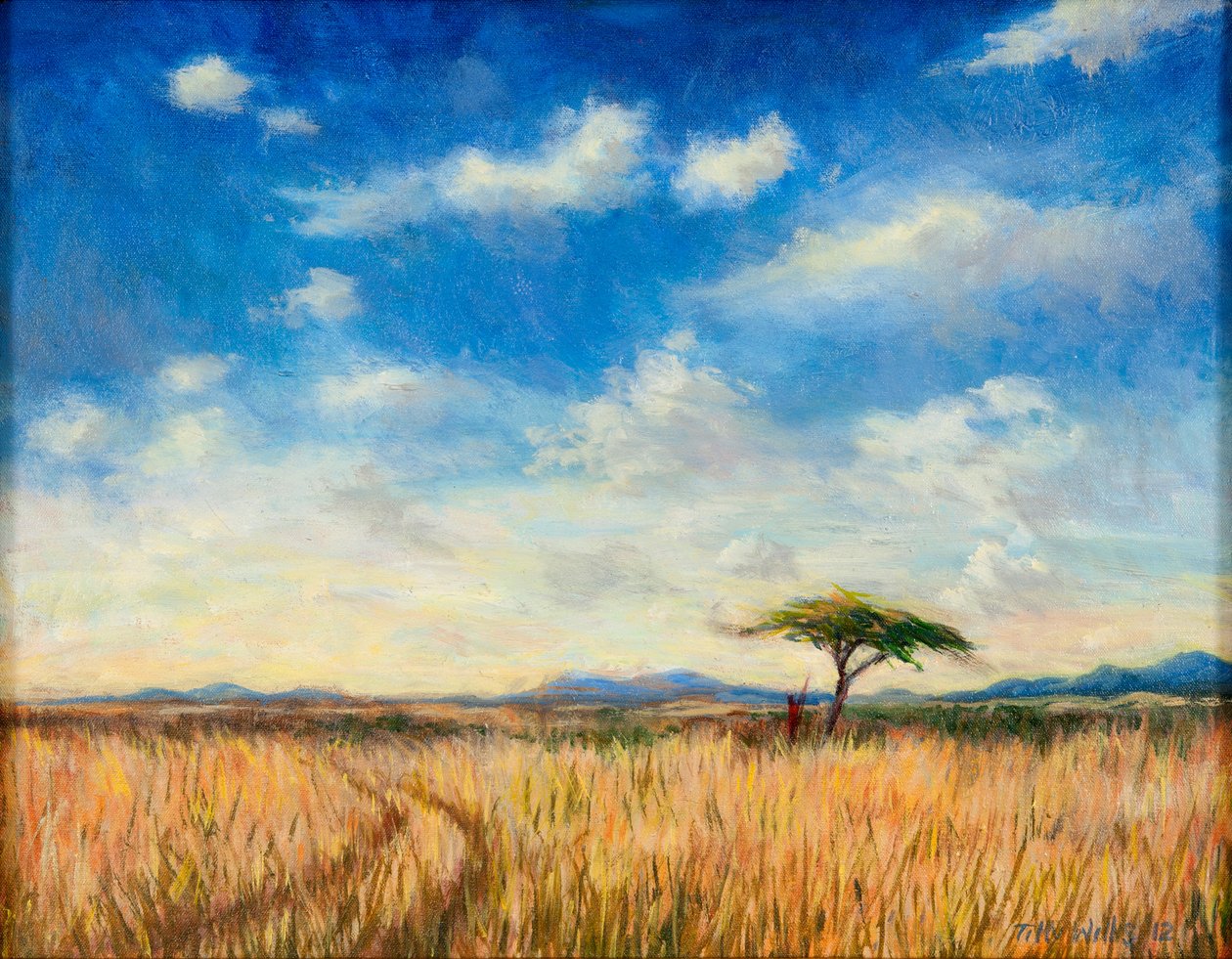 马拉景观，2012年 作者 蒂莉·威利斯