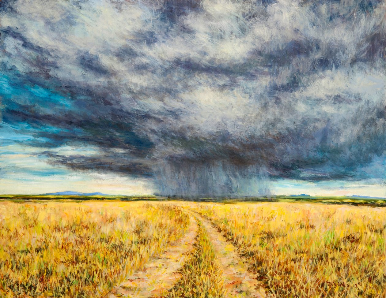 玛拉风暴，2012年 作者 蒂莉·威利斯