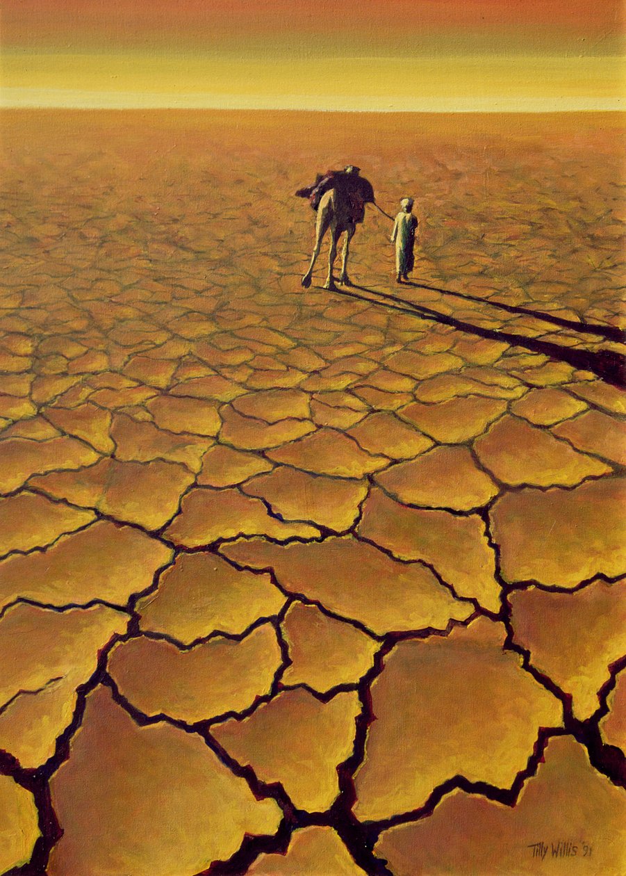 撒哈拉之旅，1995年 作者 蒂莉·威利斯