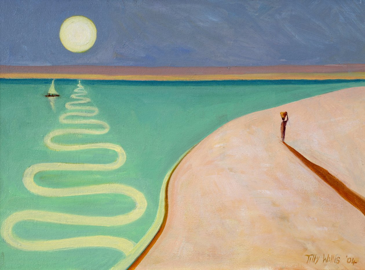 Serpentine Sunset，2004 作者 蒂莉·威利斯