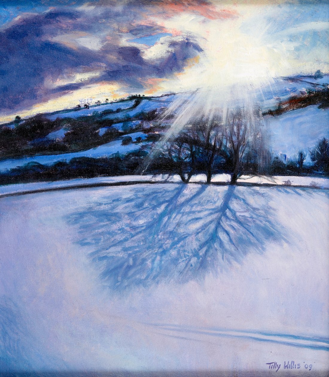 雪影，2009 作者 蒂莉·威利斯