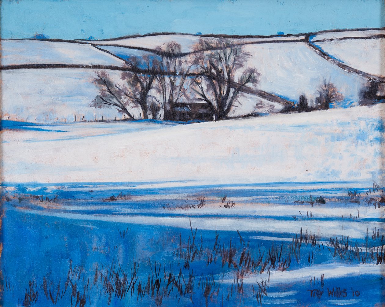 Snow Shadows，2010 作者 蒂莉·威利斯