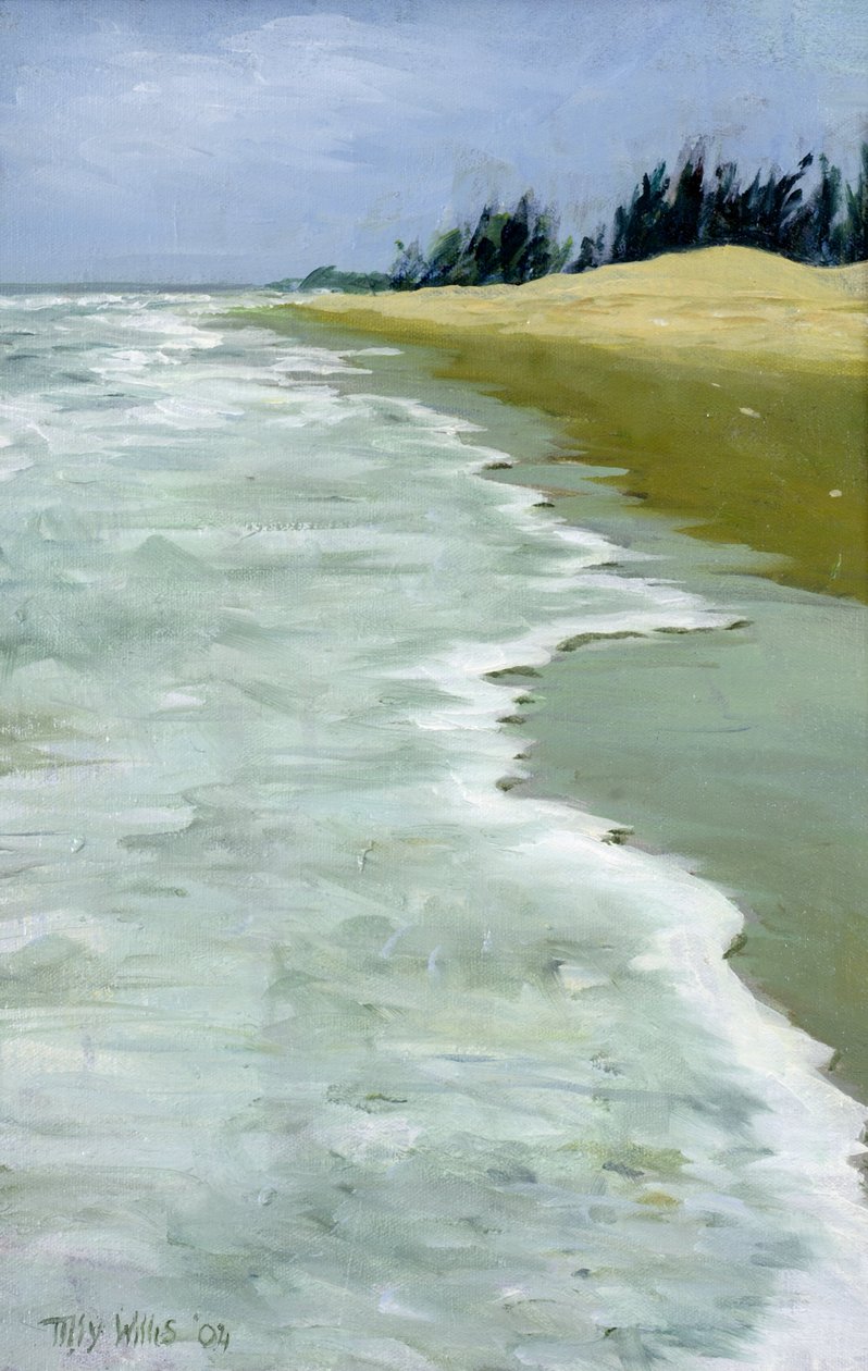 海滩，2004年 作者 蒂莉·威利斯