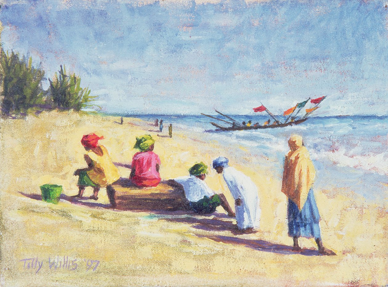 塞内加尔阿贝内海滩，1997年 作者 蒂莉·威利斯