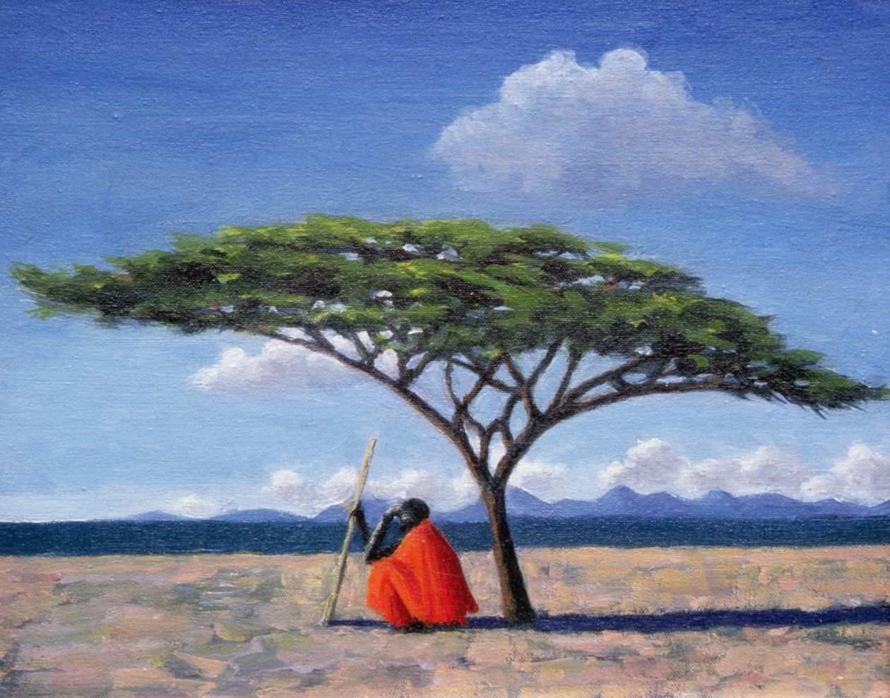 The Shady Tree，1992 作者 蒂莉·威利斯