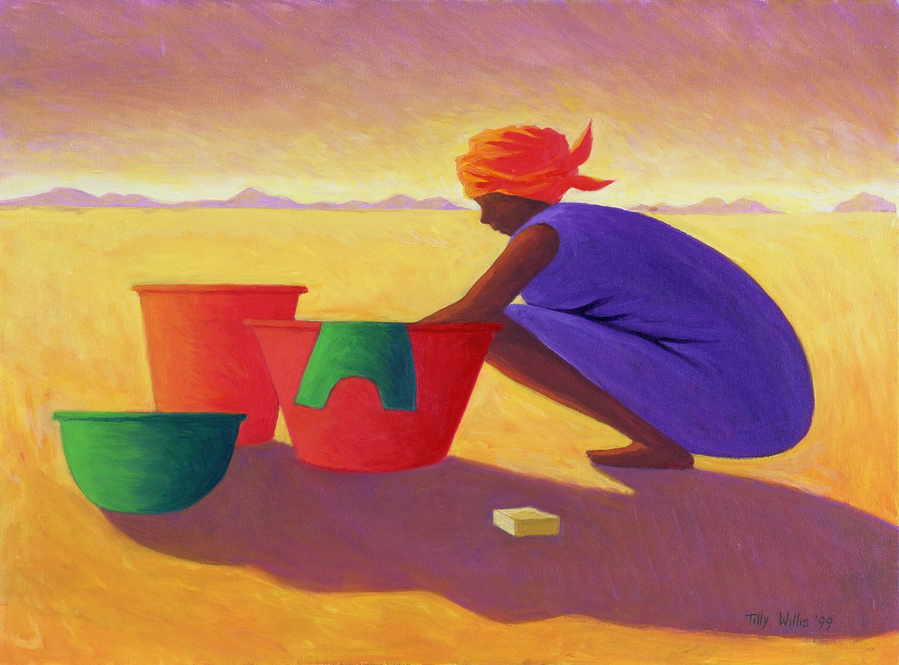 洗衣女人，1999 作者 蒂莉·威利斯