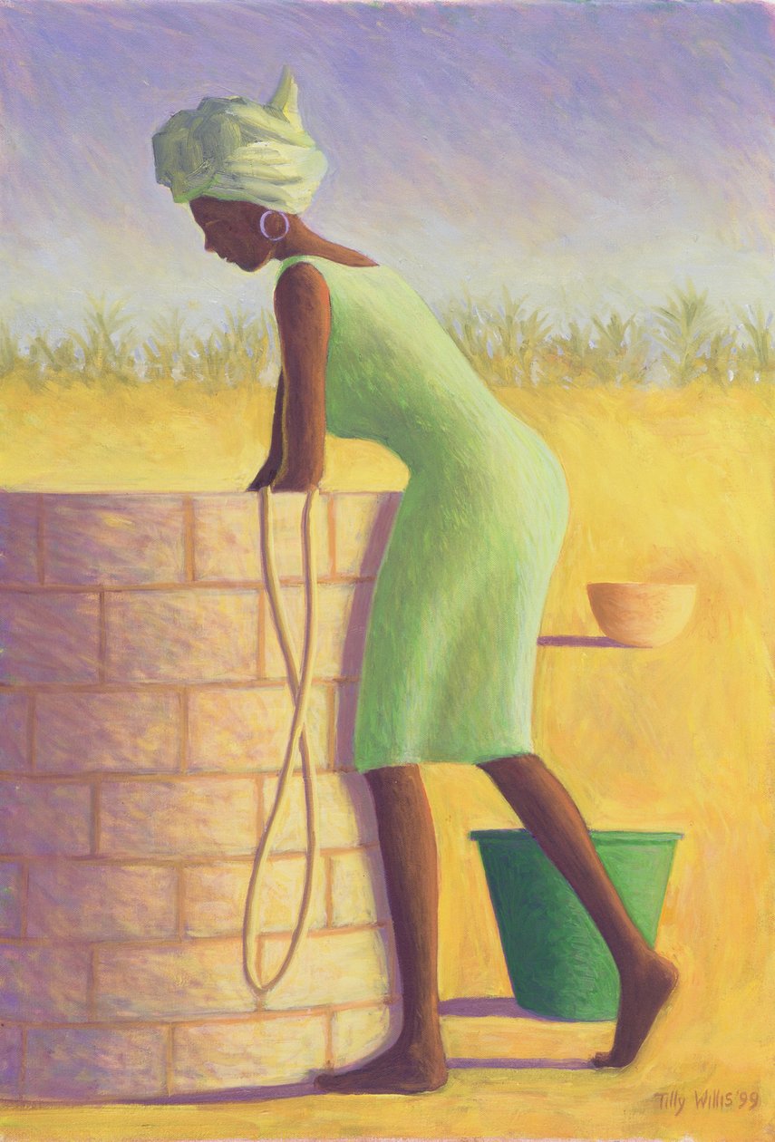 来自井的水，1999年 作者 蒂莉·威利斯