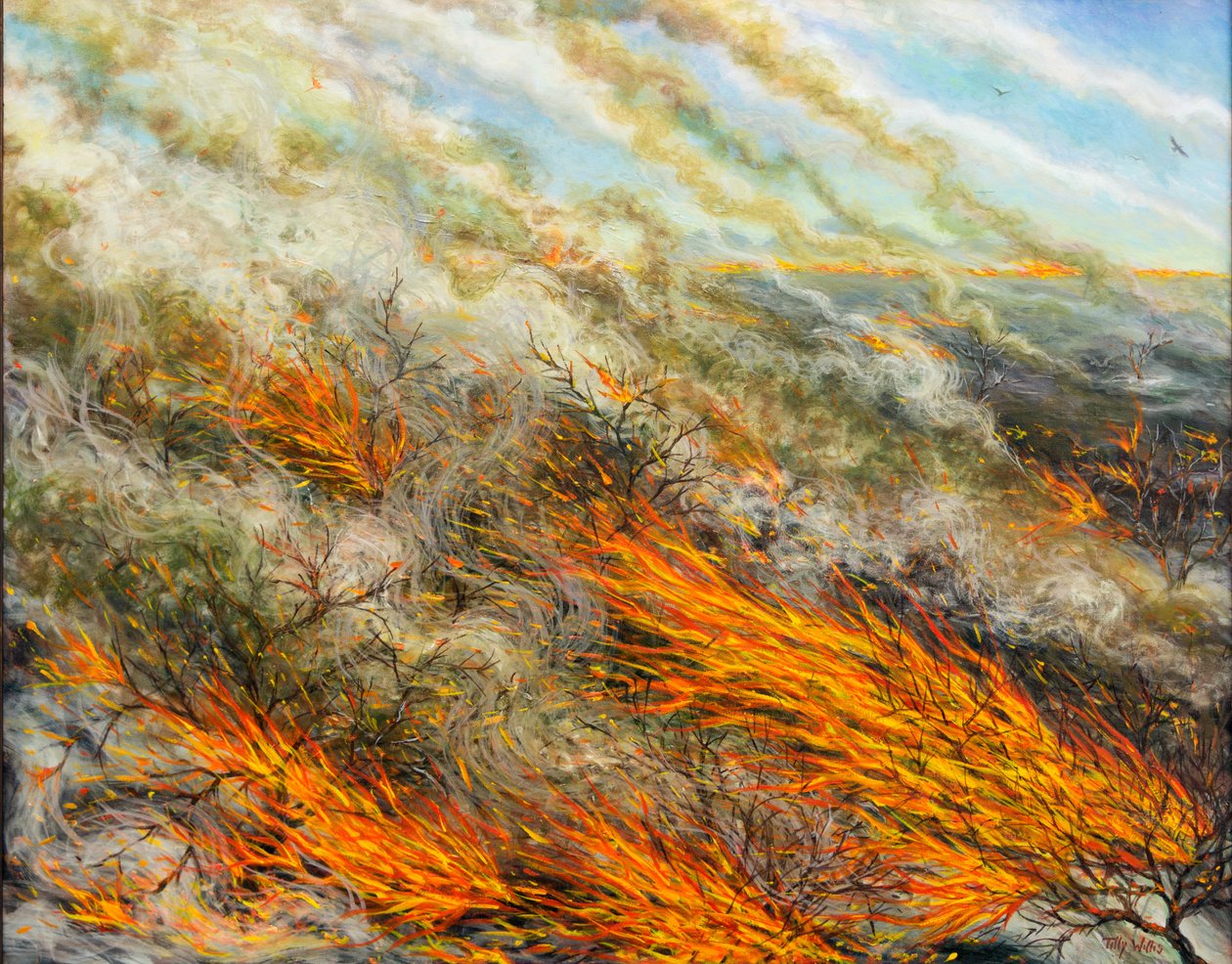 Blaze，2016， 作者 蒂莉·威利斯