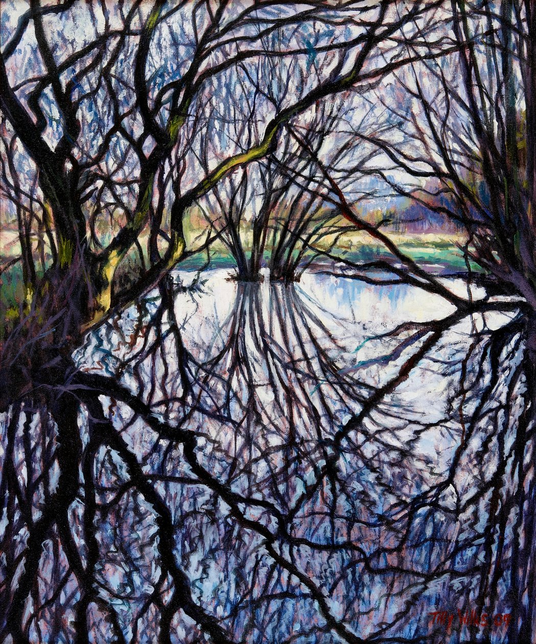 池塘反思，2009年 作者 蒂莉·威利斯