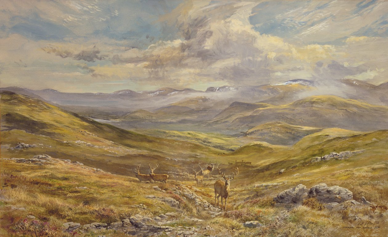 来自Kinrara的Cairngorms，1988（wc） 作者 蒂姆·斯科特·博尔顿