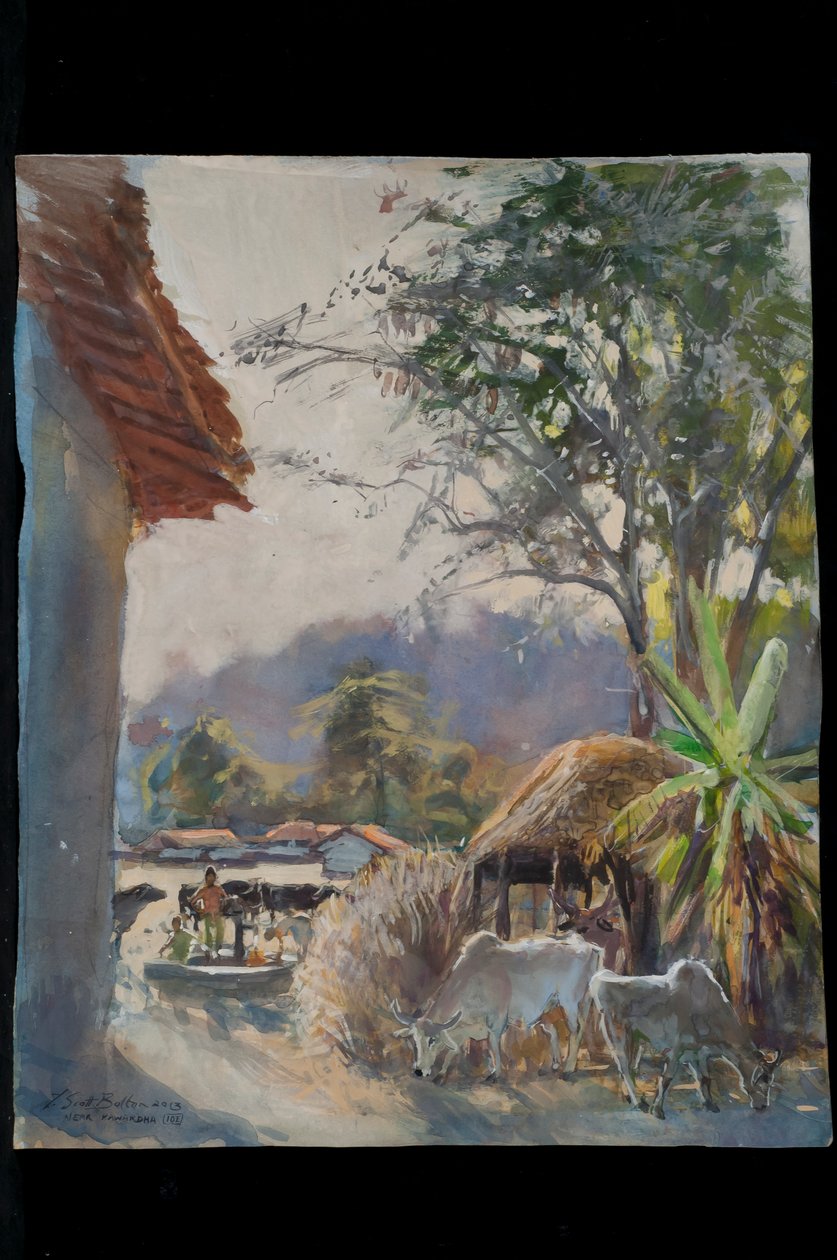 Cawardha Village with Cows，2013 作者 蒂姆·斯科特·博尔顿