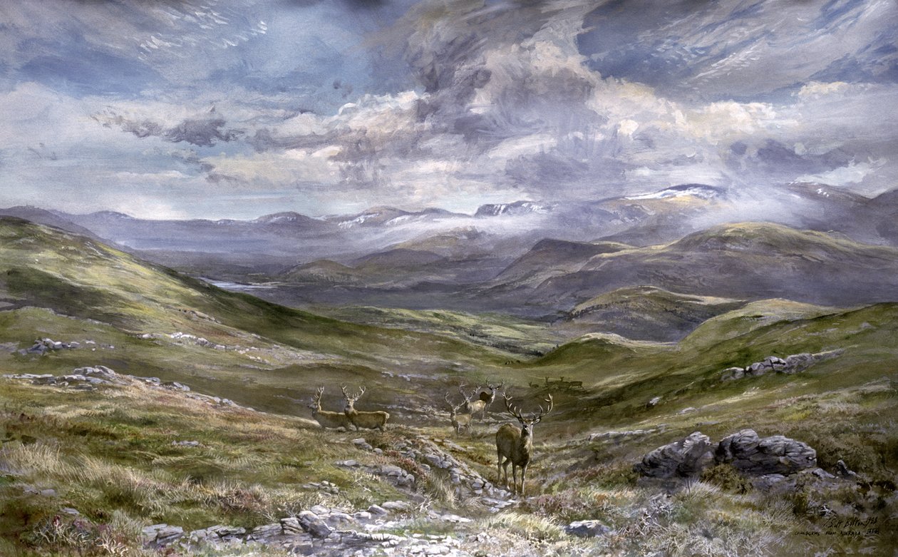 Kinrara，Aviemore，Scotland，1988（wc on paper） 作者 蒂姆·斯科特·博尔顿