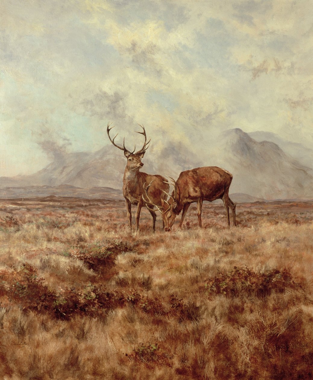 Red Stags，Ben Buie，1982 作者 蒂姆·斯科特·博尔顿