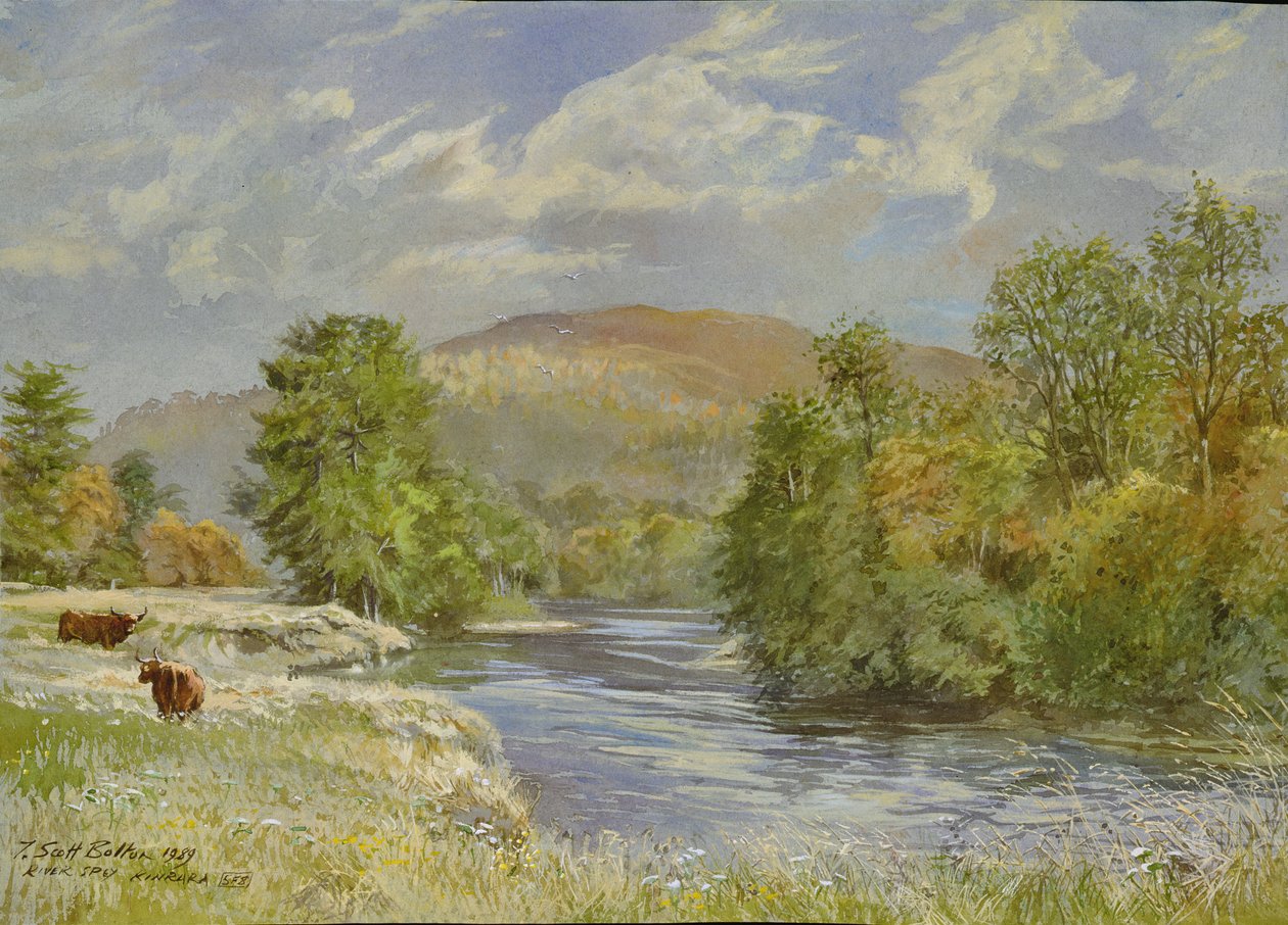 River Spey，Kinrara，1989（wc） 作者 蒂姆·斯科特·博尔顿
