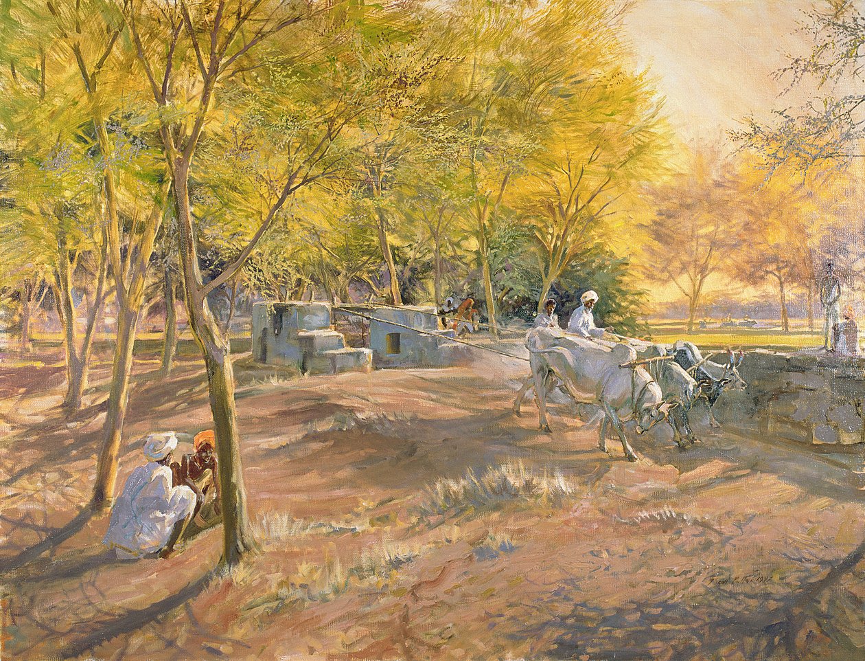 1997年，拉贾斯坦邦为水工作 作者 蒂姆·斯科特·博尔顿