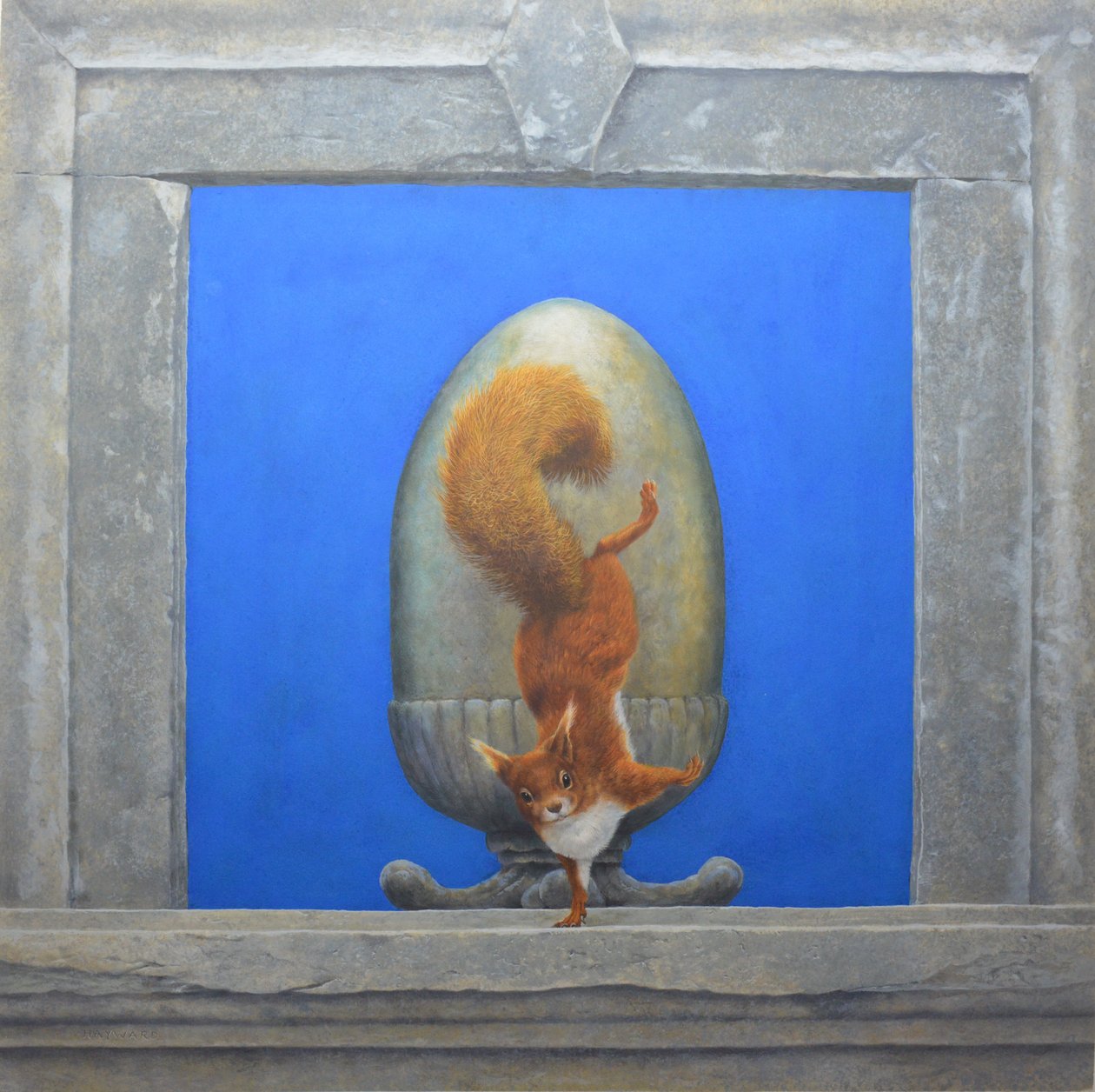 红松鼠，Lacrobata 作者 蒂姆·海沃德