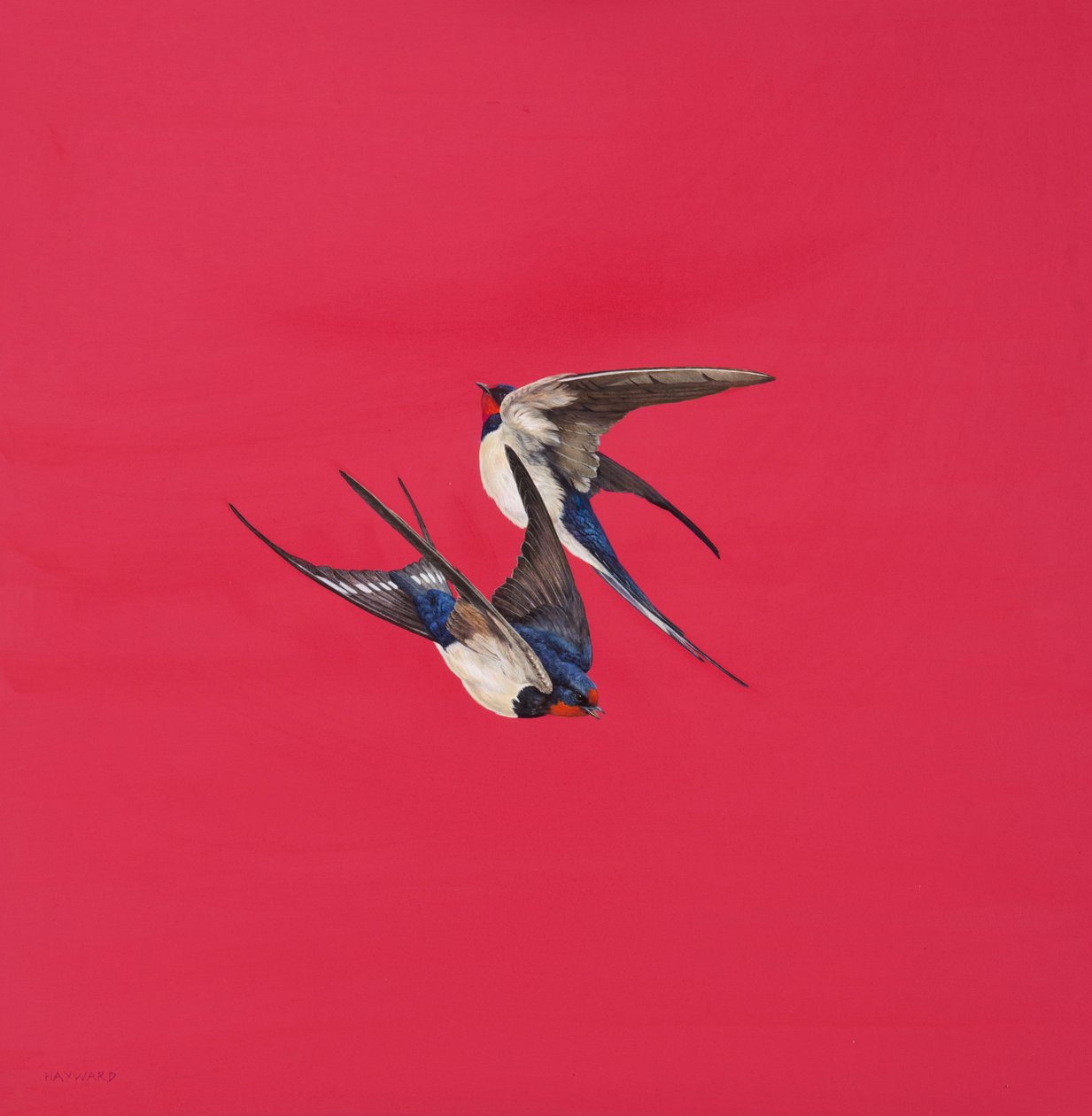 漩涡红色，水彩和水彩板上的guache，50.8 x 50.8厘米 作者 蒂姆·海沃德