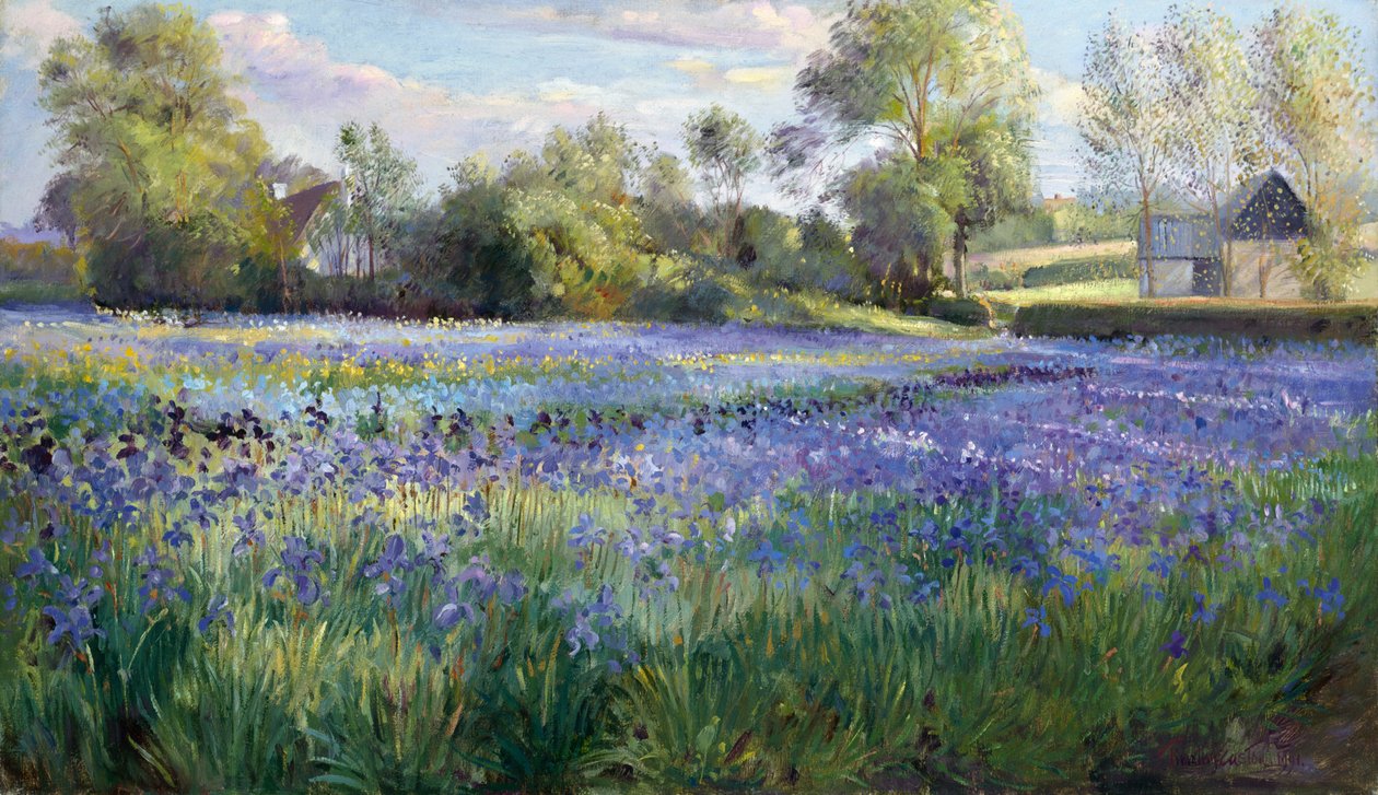 1991年，Iris Field上的斑驳之光 作者 蒂莫西·伊斯顿