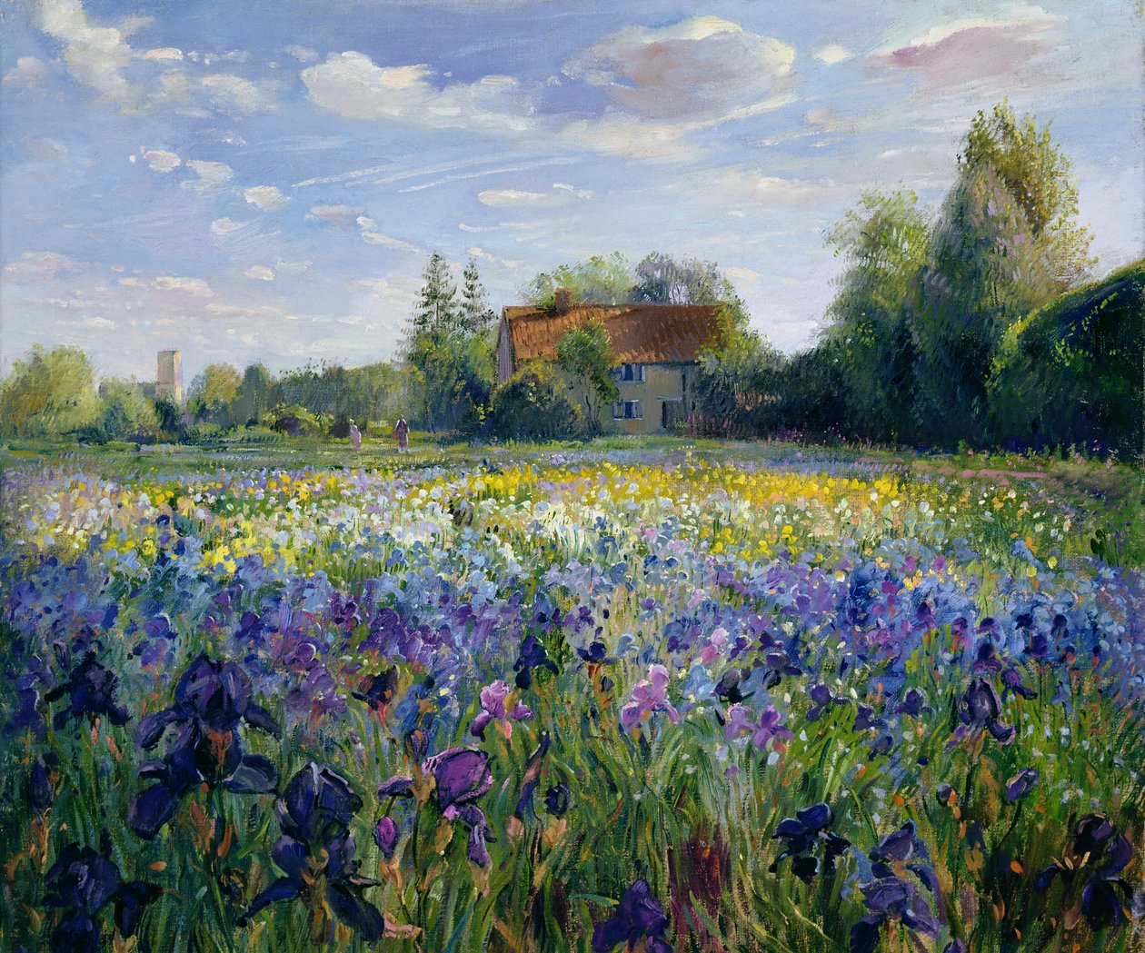晚上在Iris Field 作者 蒂莫西·伊斯顿