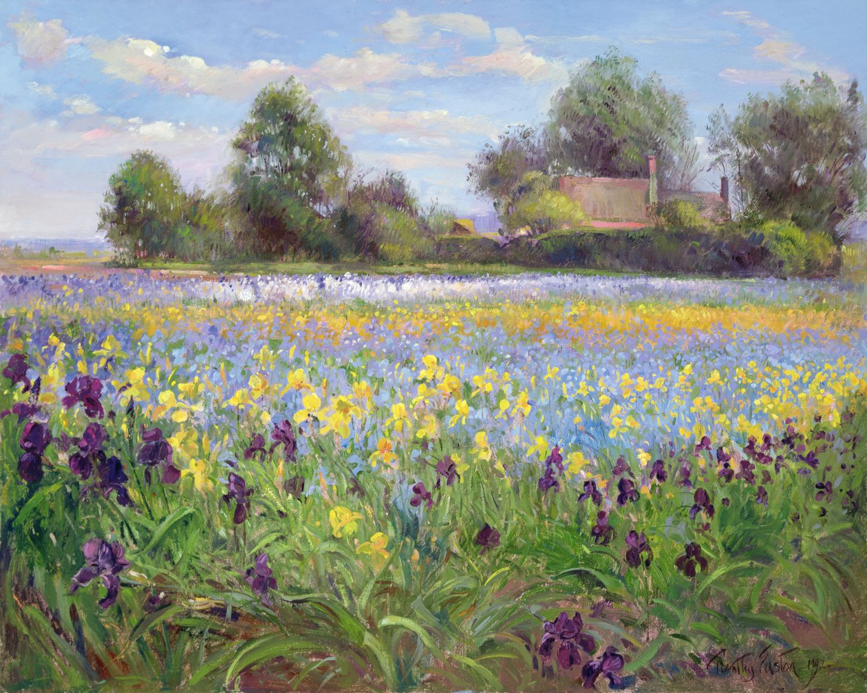 Farmstead和Iris Field，1992 作者 蒂莫西·伊斯顿