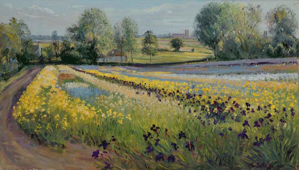 Iris Slope，1991 作者 蒂莫西·伊斯顿