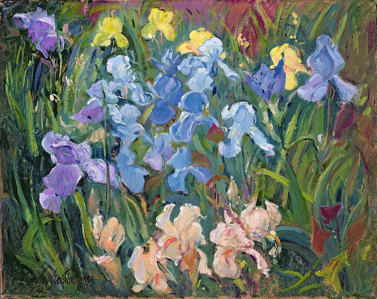 鸢尾花：粉红色，蓝色和金色，1993年 作者 蒂莫西·伊斯顿